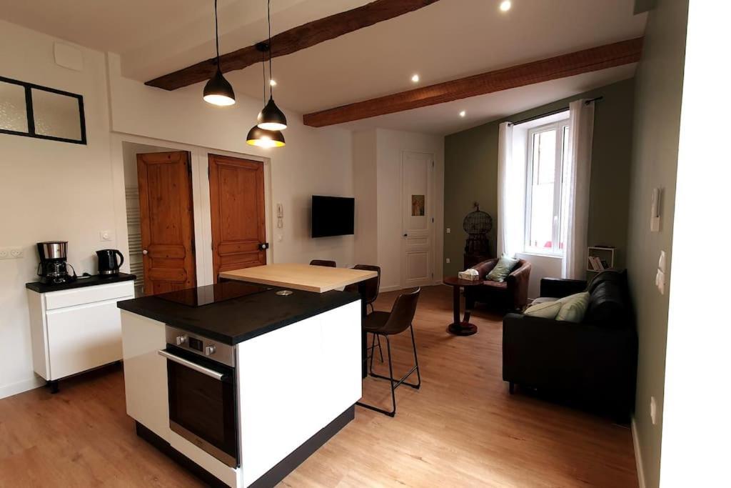 Classe 4 Etoiles - Cybele - Centre Ville 2 Chambres, Cour Privative Et Garage Vienne  Luaran gambar