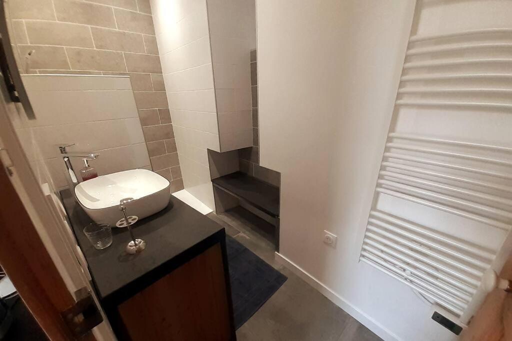 Classe 4 Etoiles - Cybele - Centre Ville 2 Chambres, Cour Privative Et Garage Vienne  Luaran gambar