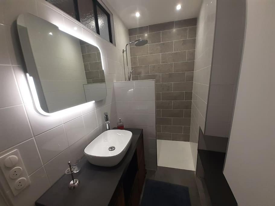 Classe 4 Etoiles - Cybele - Centre Ville 2 Chambres, Cour Privative Et Garage Vienne  Luaran gambar