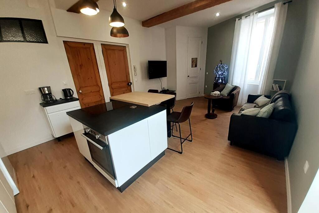 Classe 4 Etoiles - Cybele - Centre Ville 2 Chambres, Cour Privative Et Garage Vienne  Luaran gambar